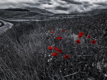 Castelluccio di Norcia