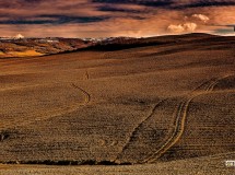 Crete Senesi, terra di siena