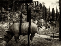 Gardone Riviera (Bresia)- Il Vittoriale, La Genialità di D'Annunzio....