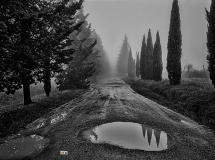 31 dicembre 2020..... Evanescenza....