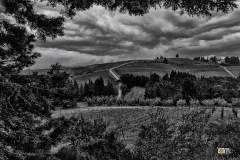 Montespertoli -FI- Toscana -.... e dintorni