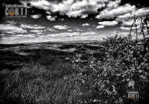 Montespertoli, Pasquetta con visibilita' infinita