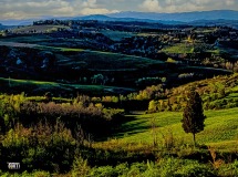 Montespertoli, l'Ora Delle Ombre.....lunghe