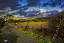 Toscana, Una Strada per...........