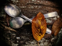 Buona Domenica.... Cosa Mettiamo in Tavola Oggi?