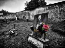 Fiori, Culto dei Morti