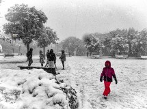 Neve Gennaio 2026 - Provando a Ricordare il Grande Giacomelli