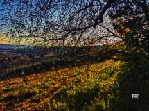 Tramonto di primavera, Acquarelli digitali