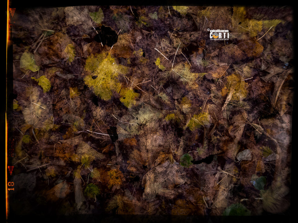 Fuori o Dentro la Riga......E' Una Strage...... Outside or Inside the line....It's A Massacre